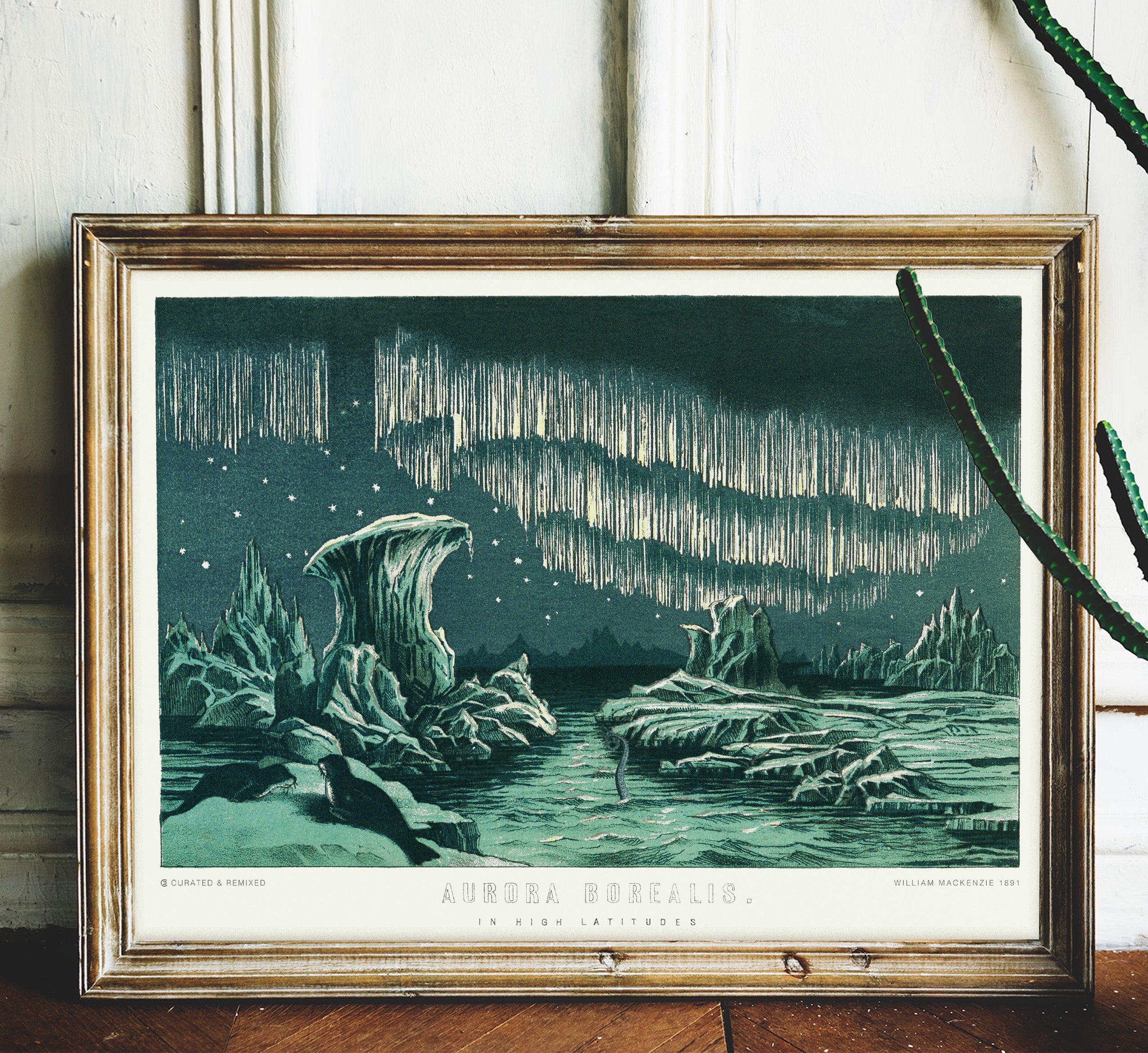 絵画 Aurora Aurora Borealis in High Latitudes – CourtHouse Collective