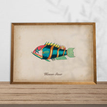 Load image into Gallery viewer, Blauwe Staar Fish