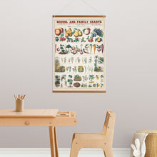 Load image into Gallery viewer, Botanical: Economical uses of Plants V1
