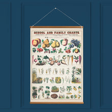 Load image into Gallery viewer, Botanical: Economical uses of Plants V1