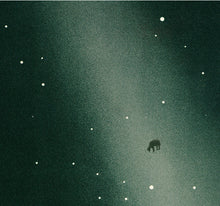 Load image into Gallery viewer, The Zodical Light