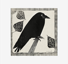 Load image into Gallery viewer, Crow |  Multipack square cards