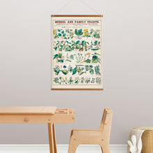 Load image into Gallery viewer, Botanical: Economical Uses of Plants V2