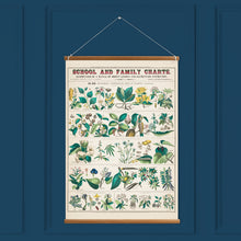 Load image into Gallery viewer, Botanical: Economical Uses of Plants V2