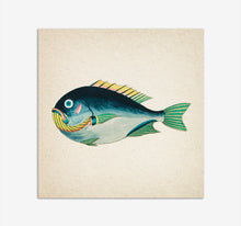 Load image into Gallery viewer, Fish | Multipack square cards