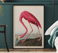 Load image into Gallery viewer, Pink Flamingo