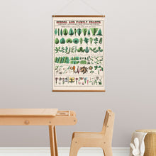 Load image into Gallery viewer, Forms of Leaves, Stems, Roots, and Flowers