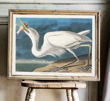 Load image into Gallery viewer, Great White Heron