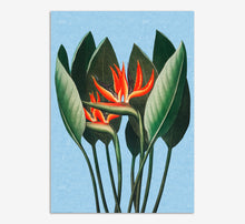 Load image into Gallery viewer, Bird of Paradise