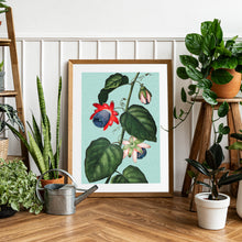 Load image into Gallery viewer, Passion Flower