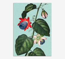 Load image into Gallery viewer, Passion Flower