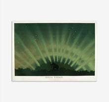 Load image into Gallery viewer, Northern Lights Mammoth