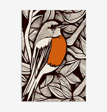 Load image into Gallery viewer, Robin | Multipack cards