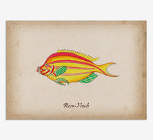 Load image into Gallery viewer, Roos-Vosch Fish