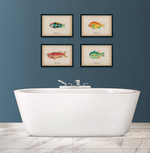 Load image into Gallery viewer, Fish | Set of 4