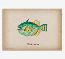 Load image into Gallery viewer, Touring-reuw Fish