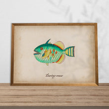 Load image into Gallery viewer, Touring-reuw Fish