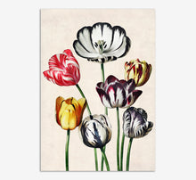 Load image into Gallery viewer, Tulips fine art print