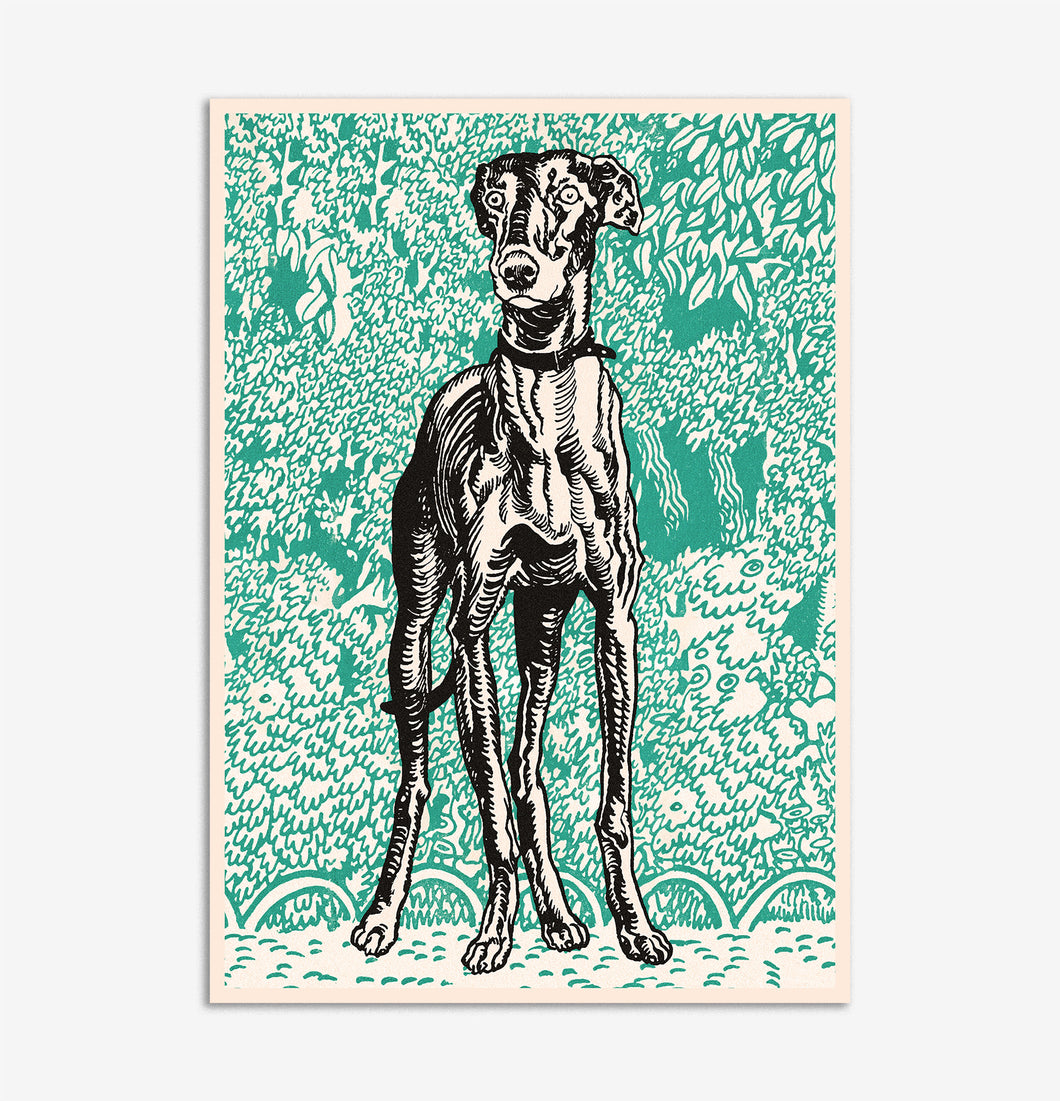 Greyhound Prints