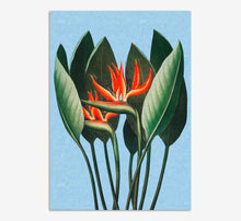 Load image into Gallery viewer, Bird of Paradise
