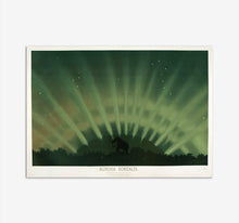 Load image into Gallery viewer, Northern Lights Mammoth
