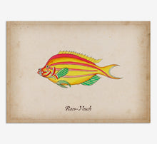 Load image into Gallery viewer, Roos-Vosch Fish
